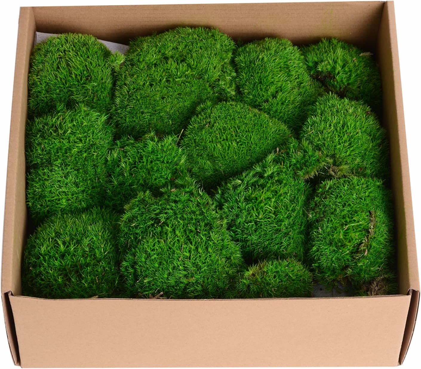 1.5 Sq. Ft. Preserved Moss Pole Decorative Moss for Crafts, Art, Wall Decor,Dark Green