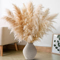 10 PCS 40" Tall Pampas Grass Stems in Natural Beige, Add a Boho Touch to Your Space—Pompas Grass Ideal for Floral Arrangements, Floor Vases, Weddings, and Creating a Bohemian Ambiance at Home.