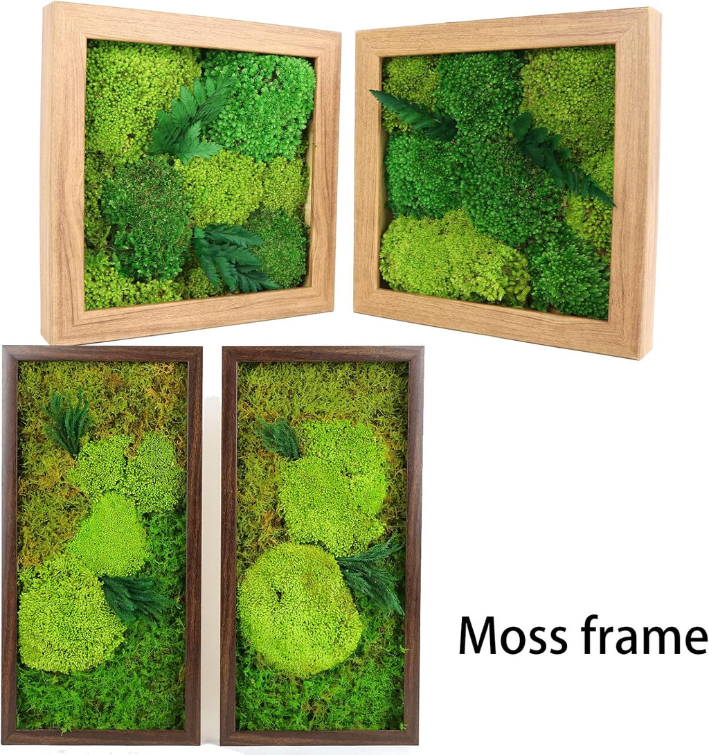 1.5 Sq. Ft. Preserved Moss Pole Decorative Moss for Crafts, Art, Wall Decor,Yellow Green Moss