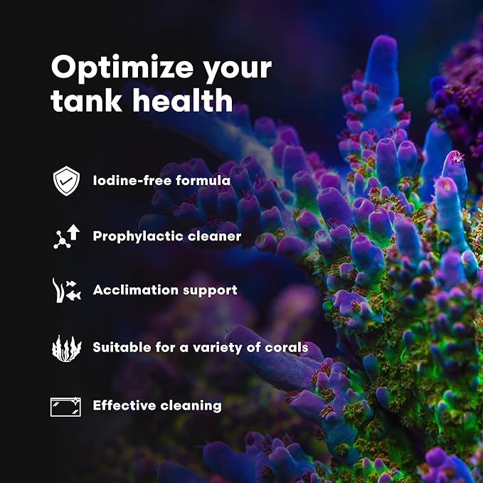 Brightwell Aquatics Koral MD Pro - Professional Strength Coral & Frag Dip & Cleaner, Conditioner & Acclimator for Coral Aquarium Tanks - Aquarium Water Treatments & Reef Supplies, 1.01 fl oz