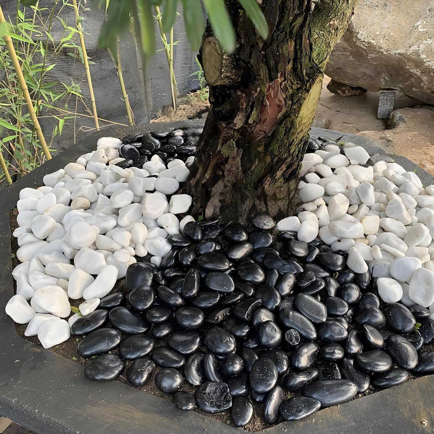 10 lbs Pebbles for Outdoor Landscaping, 1-2 inch Black River Rocks for Plants Indoor, Decorative Black Stones for Planters Vase Aquarium Rocks and Garden Rocks