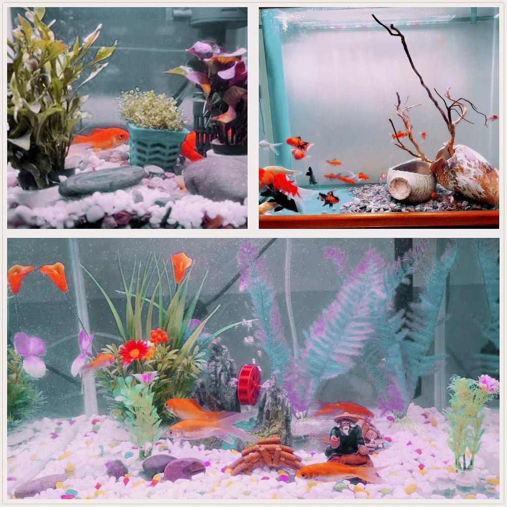 10 lb Natural Polished Decorative White Pebbles - Small Stones 3/8" Gravel Size,River Rocks Pebbles for Plants, Home DIY Decor,Aquarium Gravel,Vase Fillers,Fairy Garden,Landscaping Outdoor Stones