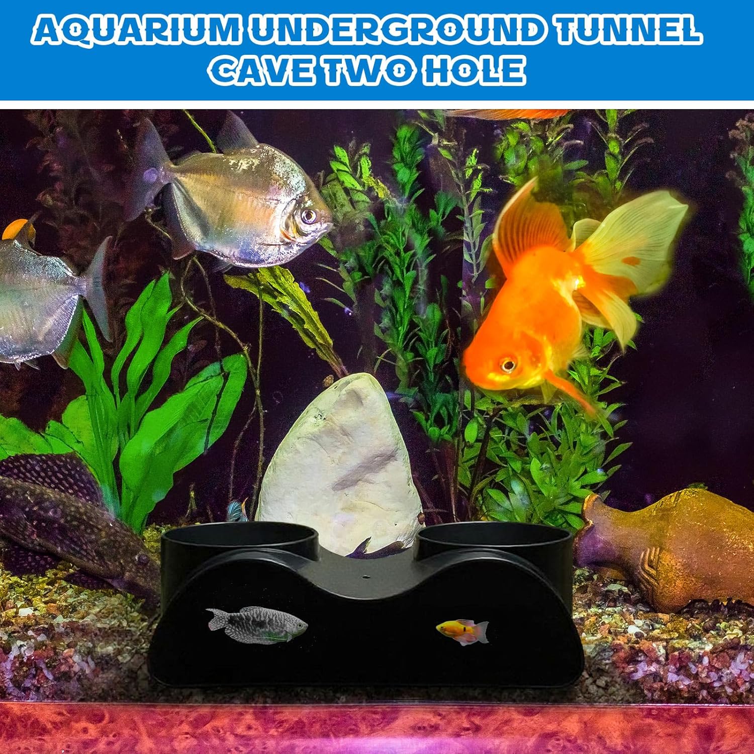 1 Pcs Aquarium Underground Tunnel Cave with Natural Curve Two Hole Fish Tank Hideout Decor Decoration for Loaches, Corydora Catfish, Bettas, Pleco and Shrimps