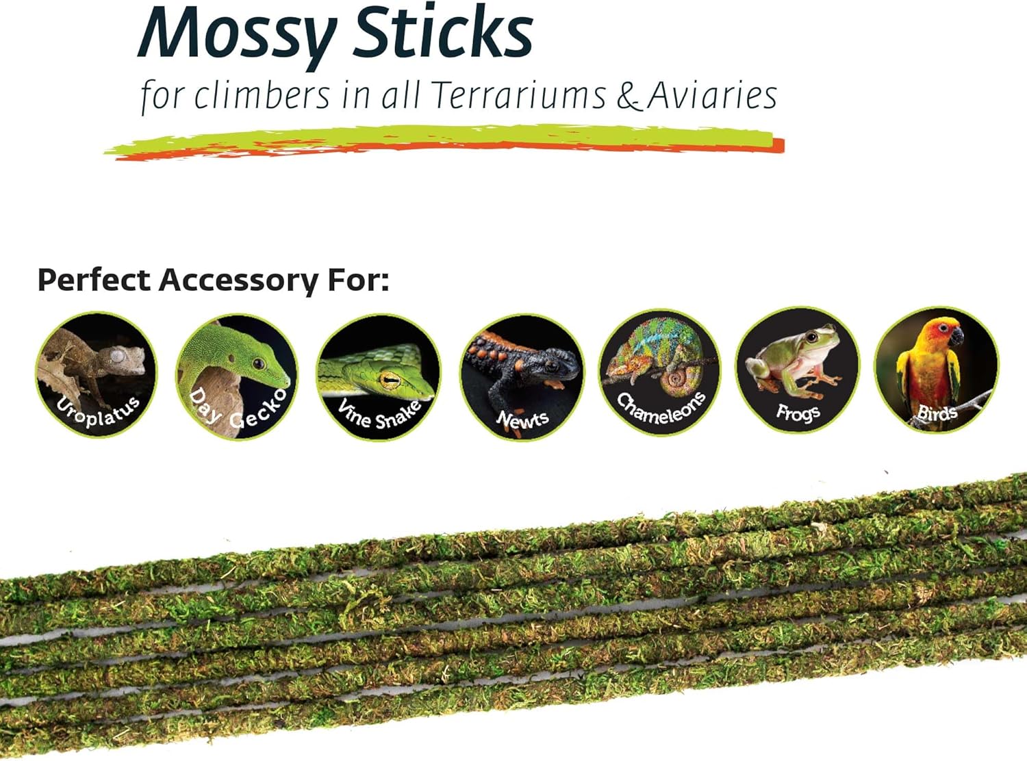 Galápagos (05322) Mossy Terrarium Sticks (6 Pack), 32"