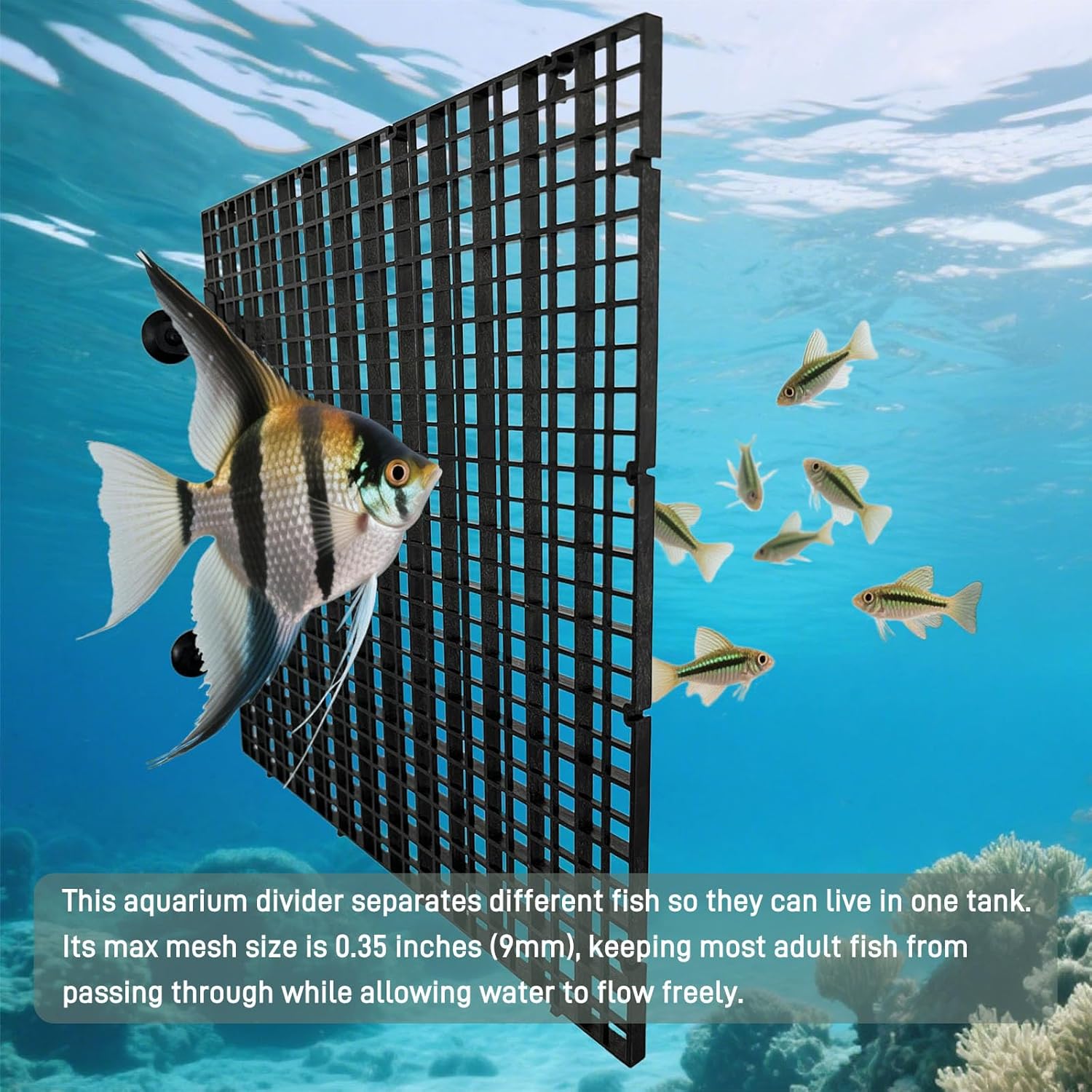 0.35-Inch Black Aquarium Divider Panel 11.8"x11.8",8pacs - Strong Suction Cups, Easy Cut Design to Separate Fish (10-55 Gallon Tanks)