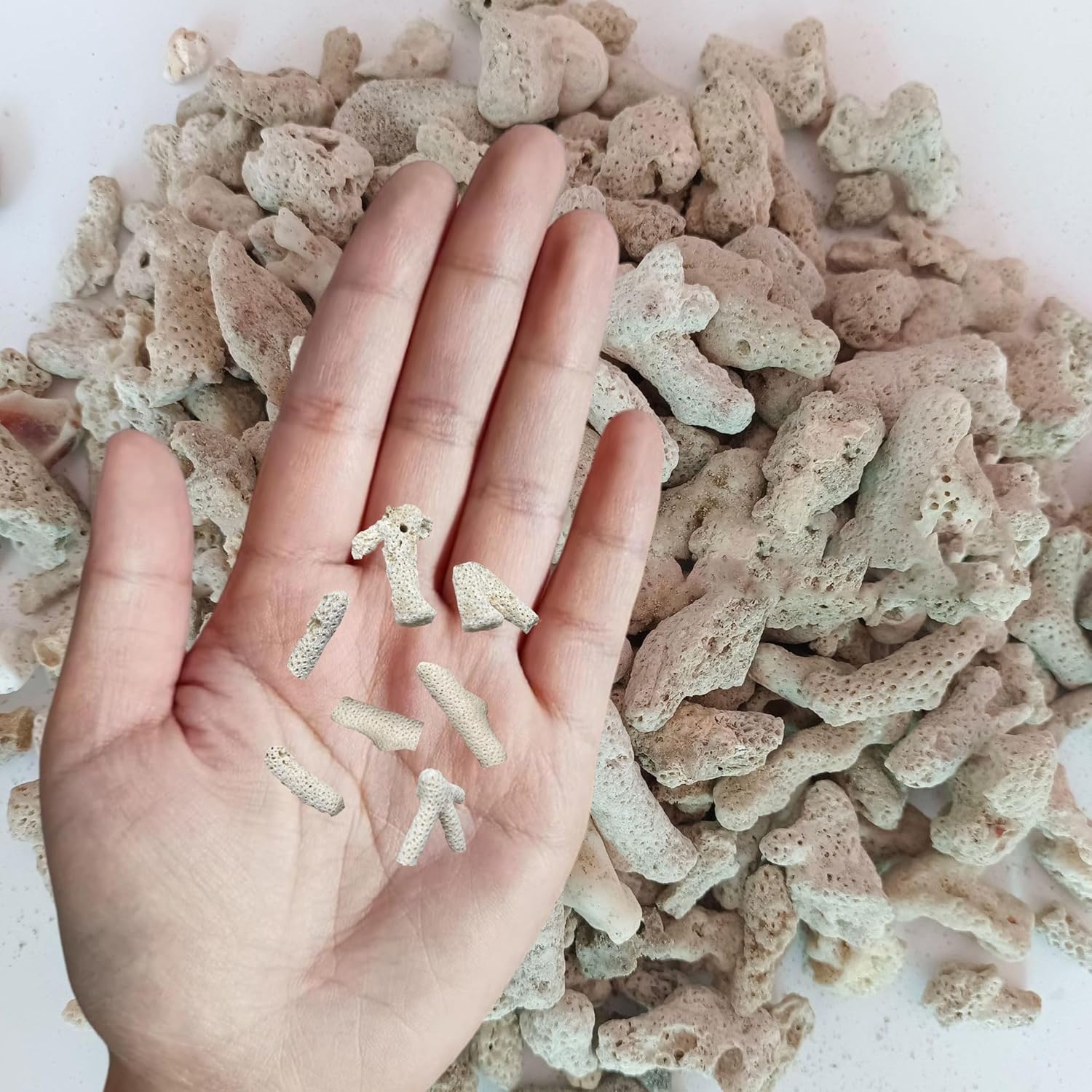 1.1 LB Coral for Fish Tank Filter,Crushed Coral for Aquarium,Pond Filter for Aquarium - Crushed Coral for Freshwater Aquarium,Aquarium Filter, Coral Stones, Each One is Hand Selected