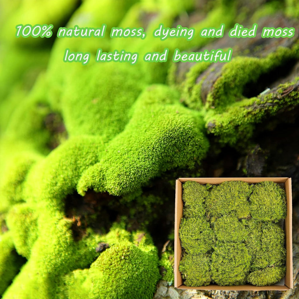1.5 Sq. Ft. Preserved Moss Pole Decorative Moss for Crafts, Art, Wall Decor,Yellow Green Moss