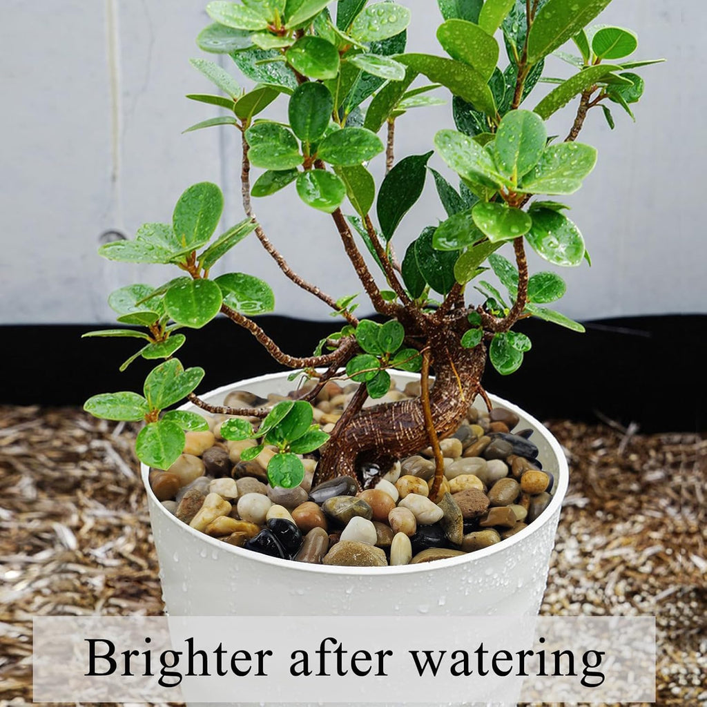 10 lbs Pea Gravel for Landscaping, 2/5 Inch Size Mixed Color River Rocks for Aquarium, Succulent, Vase Fillers, Cactus Bonsai, Plant Soil Cover and Outdoor Garden Rocks.