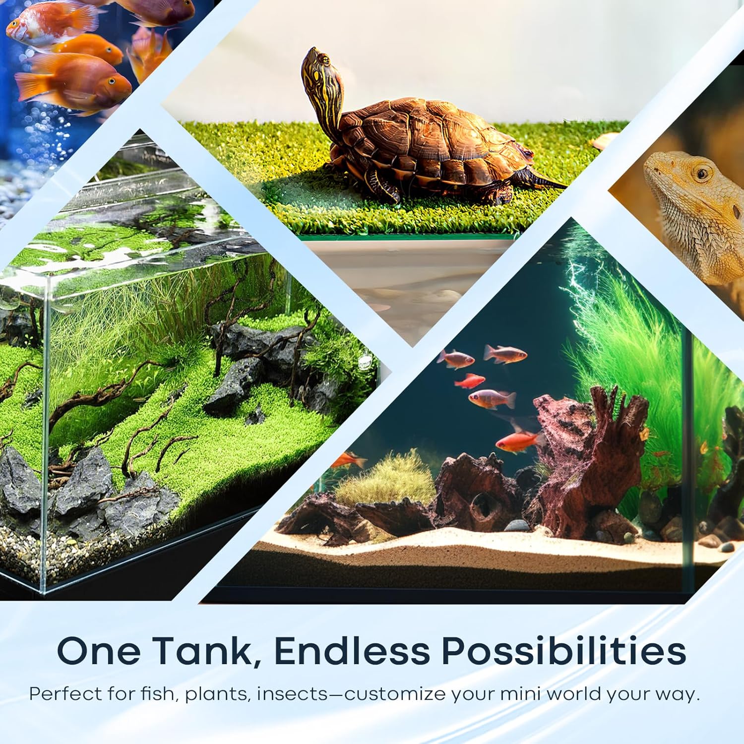 10 Gallon Glass Fish Tank, Aquarium Fish Bowl Cube for Betta Goldfish Snails Shrimp Aquatic Planting, Easy to Maintain Ultra Clear Rimless Low Iron