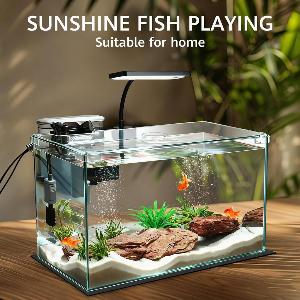 10 Gallon Glass Small Fish Tank with Filter Light and Lid, Aquarium Starter Kit