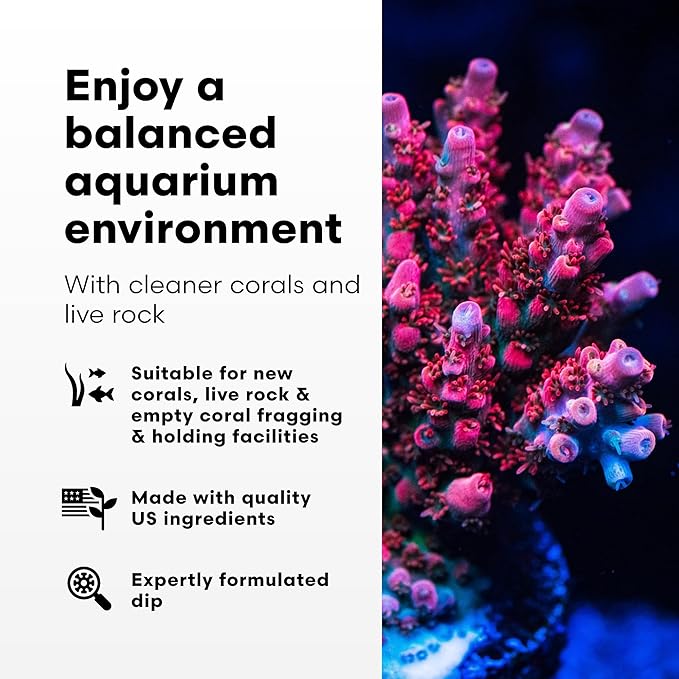 Brightwell Aquatics Koral MD Pro - Professional Strength Coral & Frag Dip & Cleaner, Conditioner & Acclimator for Coral Aquarium Tanks - Aquarium Water Treatments & Reef Supplies, 8.45 fl oz