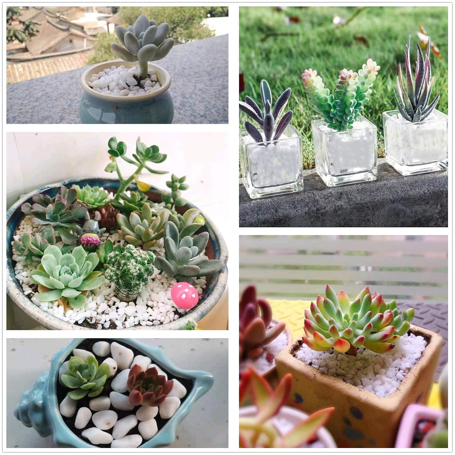 10 lb Natural Polished Decorative White Pebbles - Small Stones 3/8" Gravel Size,River Rocks Pebbles for Plants, Home DIY Decor,Aquarium Gravel,Vase Fillers,Fairy Garden,Landscaping Outdoor Stones