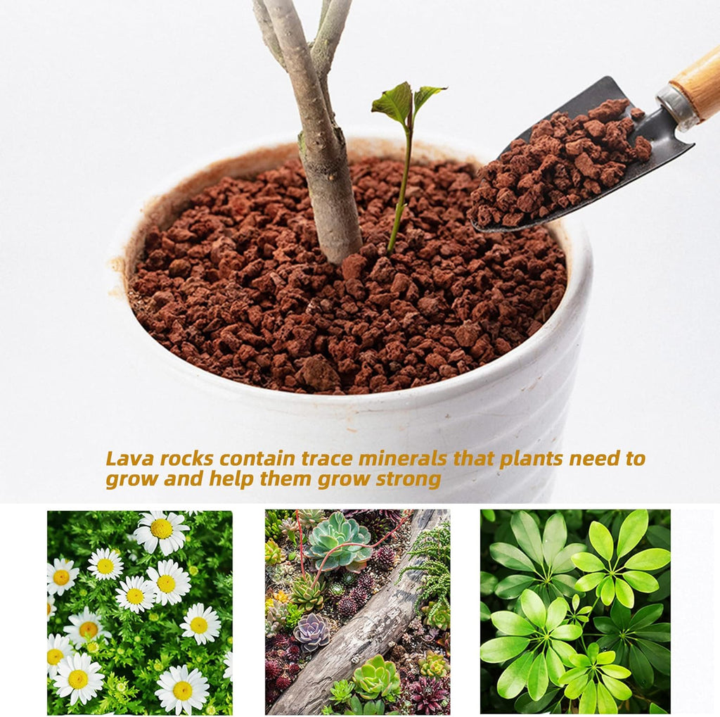 1.5 Lb Red Lava Rocks for Plants Decorative Landscaping 1/2" Lava Rock Granules Top Dressing for Cacti, Succulents Bonsai Plants for Release Excess Water to Prevents Root Rot