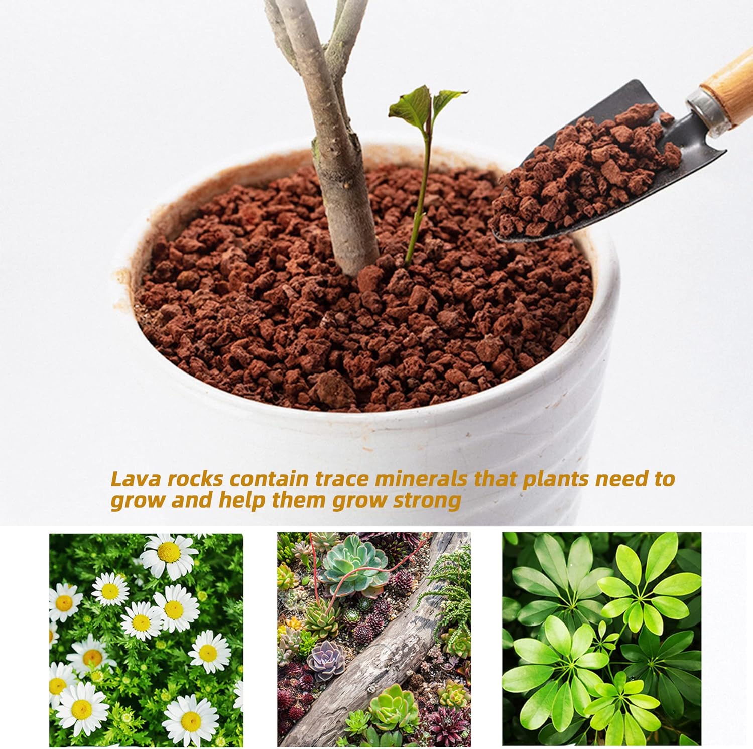 1.5 Lb Red Lava Rocks for Plants Decorative Landscaping 1/2" Lava Rock Granules Top Dressing for Cacti, Succulents Bonsai Plants for Release Excess Water to Prevents Root Rot