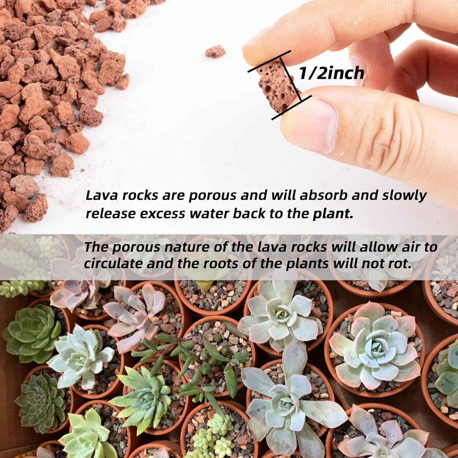 1.5 Lb Red Lava Rocks for Plants Decorative Landscaping 1/2" Lava Rock Granules Top Dressing for Cacti, Succulents Bonsai Plants for Release Excess Water to Prevents Root Rot