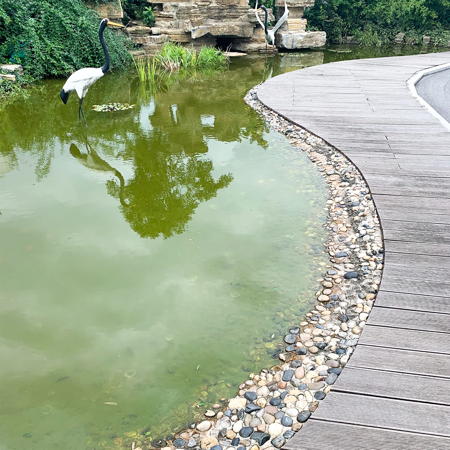 10 lbs Pebbles for Indoor Plants, 2-3 inch Large River Rocks Decorative Stones for Garden, Aquarium, Vase Fillers, Outdoor Landscaping and Backyard