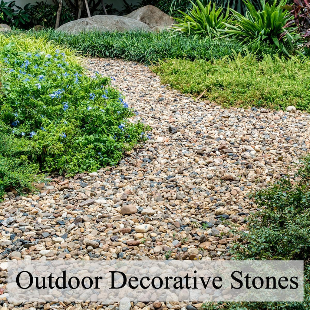 10 lbs Pea Gravel for Landscaping,1/4 Inch Aquarium Gravel. Decorative River Rocks for Fish Tank Succulent Vase Cactus Bonsai Plant Soil Cover and Outdoor Landscaping Rocks