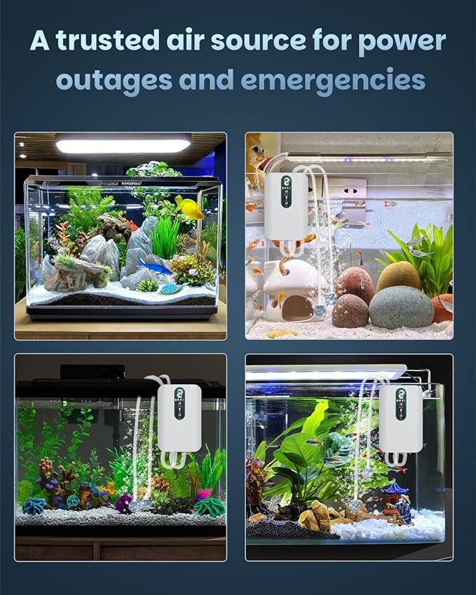 Pawfly USB Rechargeable Bait Aerator for Fishing, Portable Oxygen Pump for 5 to 100 Gallon Buckets, Livewells and Minnow Tanks