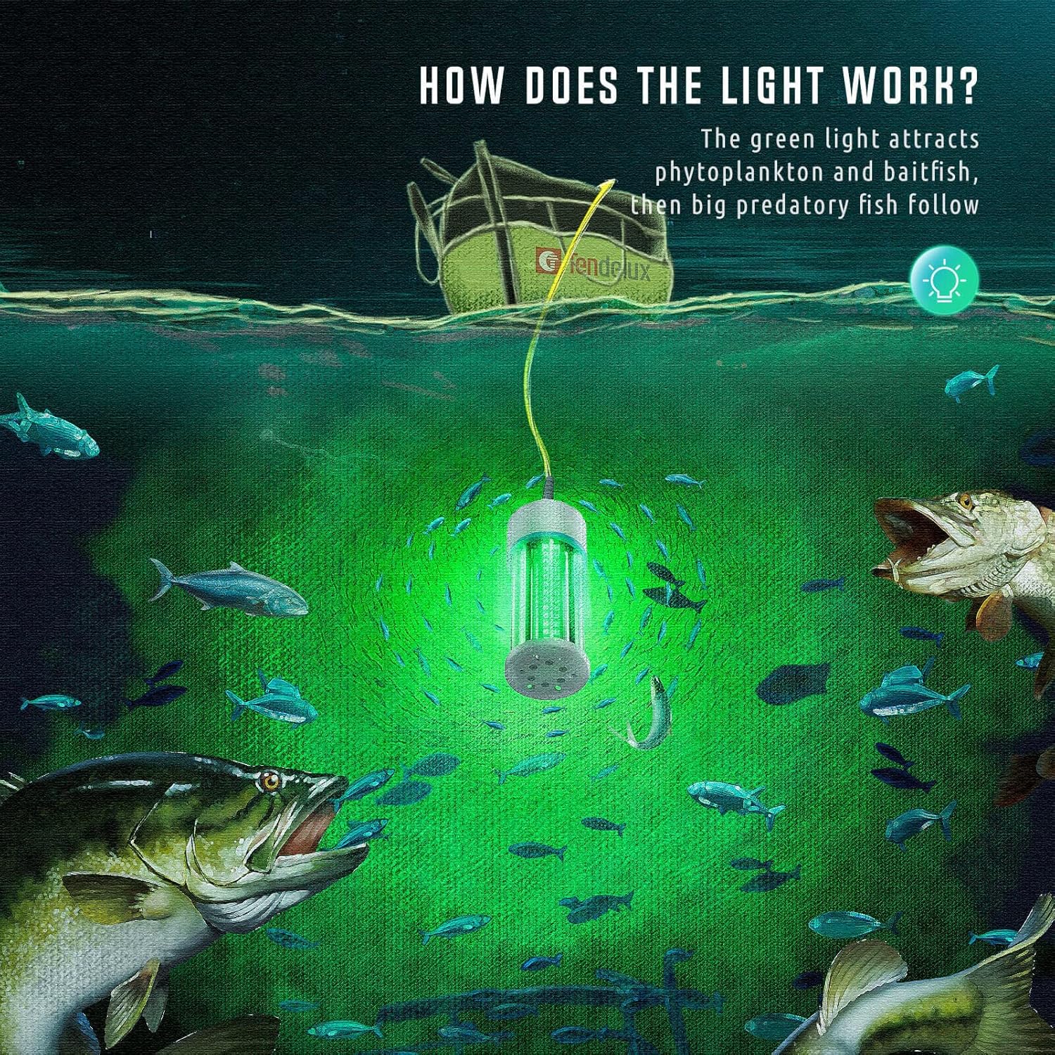 Underwater Fishing Light, 110V & 12V Super Bright Green LED Submersible Light Attractants for Docks, Boats or Kayaks, IP68 Rated for Fresh & Salt Water (30ft Cable)