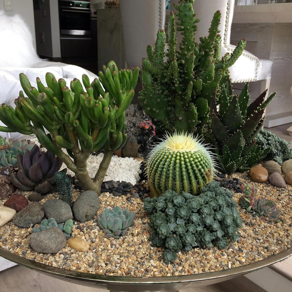 10 lbs Aquarium Gravel, 2-4mm Fish Tank Gravel, Succulent Cactus Pea Gravel for Indoor Plants, River Rocks for Gardening, Flower Pots, Vase Fillers, Garden Landscaping