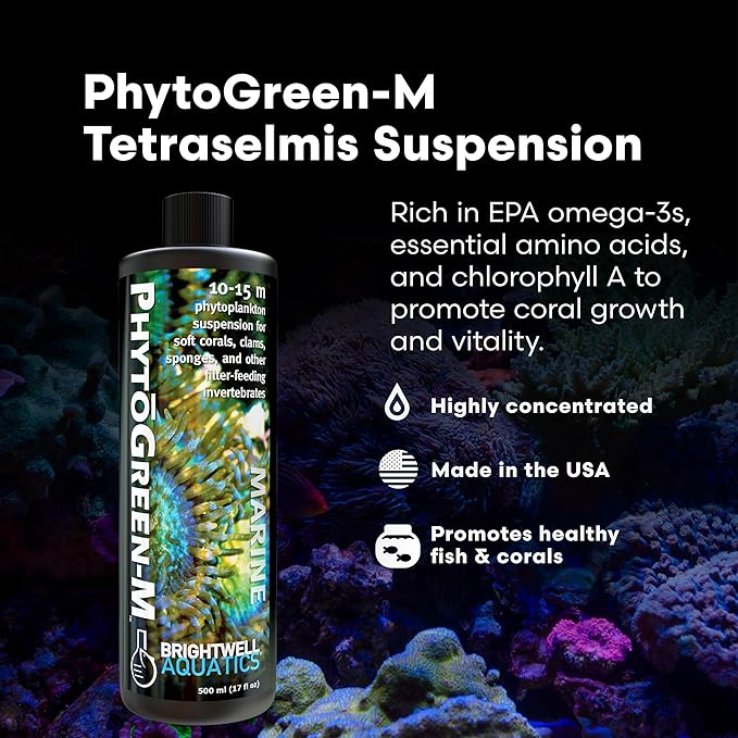 Brightwell Aquatics PhytōGreen-M Marine Phytoplankton for Reef Aquariums – Supports Corals, Sponges, Clams, Tube Worms & Filter Feeders – Amino Acids, EPA, 500 ml