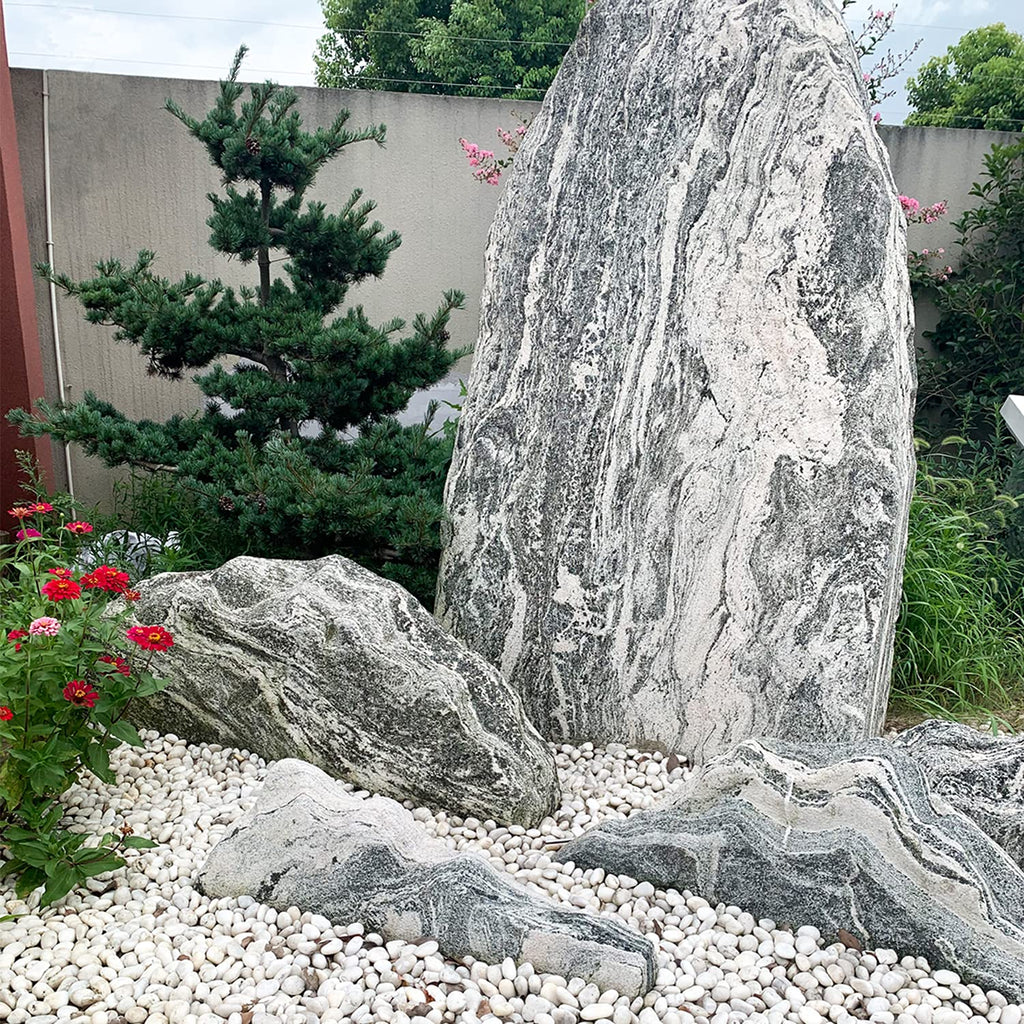 10 lbs White River Rocks, 1-2 Inch Polished Pebbles for Indoor Plants, Decorative White Stones for Plants, Vase, Aquarium, Fish Tank, Landscaping and Garden